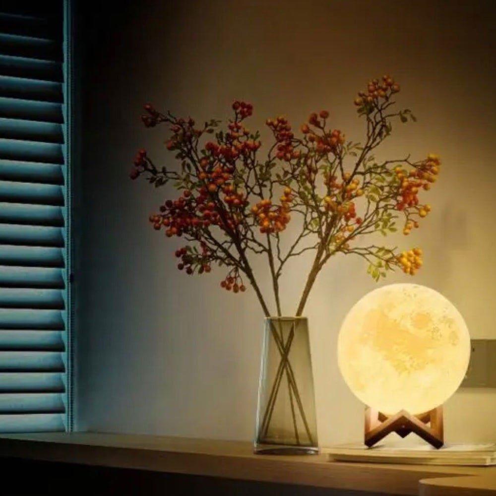 Trending Chargeable LED Moon Light Lamp With Stand – SB FIT SB FIT™