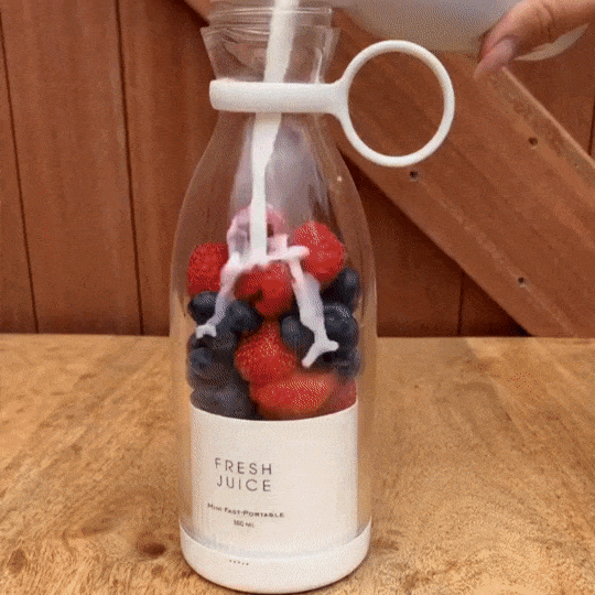 Portable Juicer My Store